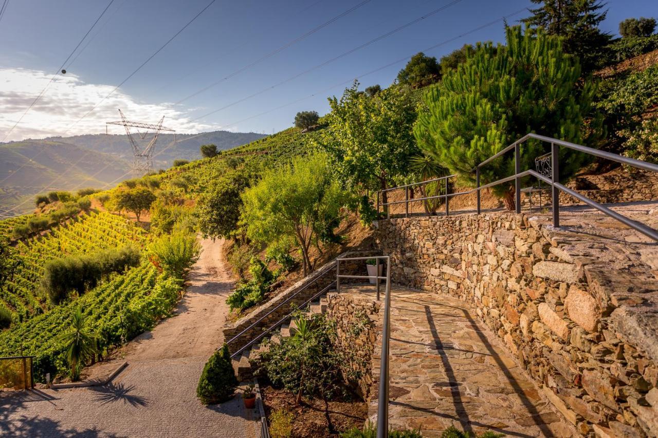 Quinta Da Portela Douro Armamar Eksteriør billede