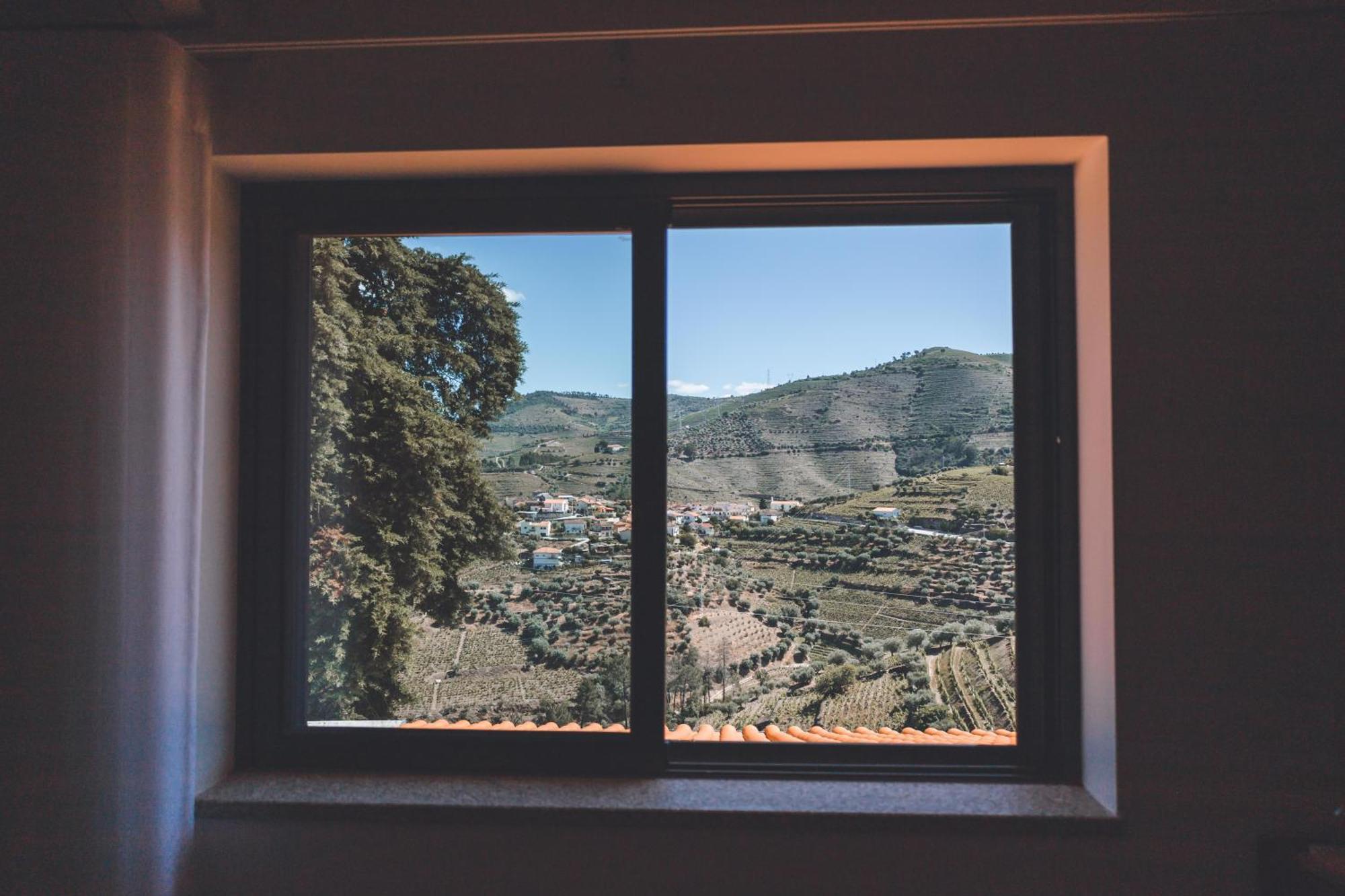 Quinta Da Portela Douro Armamar Eksteriør billede